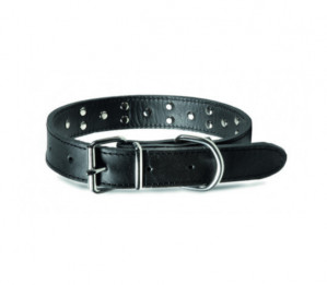 Record odinis antkaklis šunims 4x48,5-57,5cm