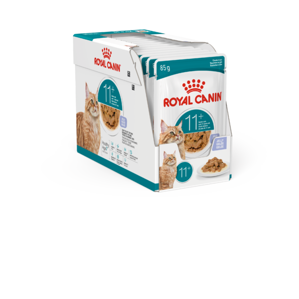 FHN C Ageing 11+ Jelly 12x85 g