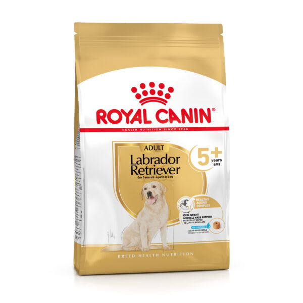 BHN Dog Labrador Retrievier Adult 5+ 12 kg