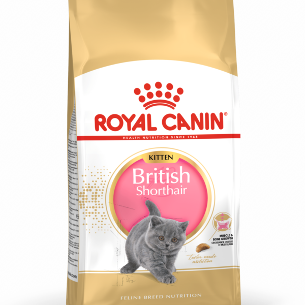 FBN Cat British Shorthair Kitten 10 kg
