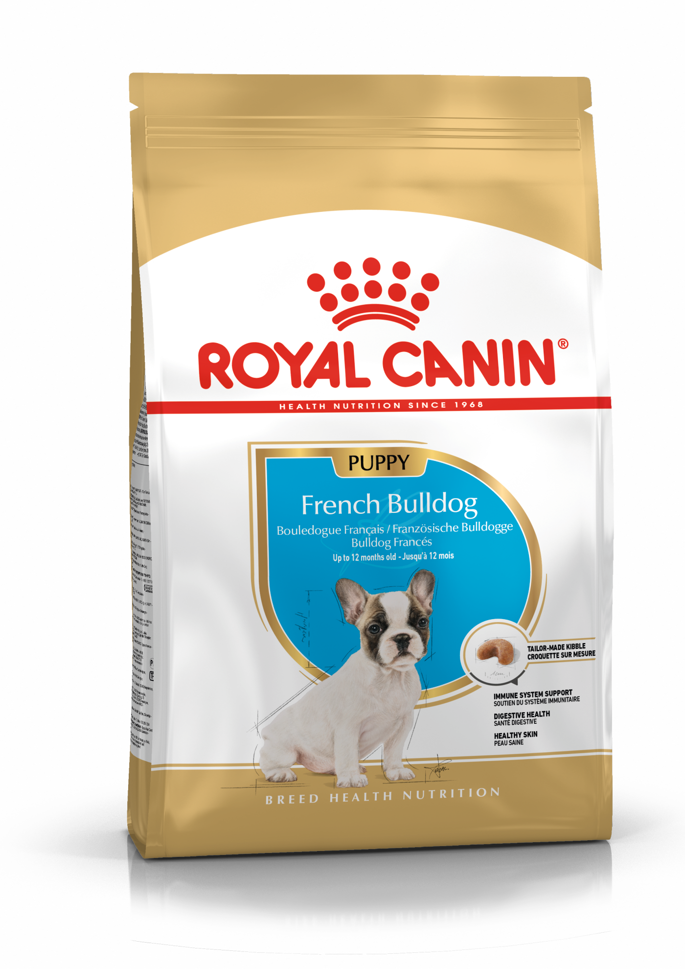 dog_BHN_FRENCH_BULLDOG_PUPPY BHN Dog French Bulldog Puppy 3 kg - Image 1