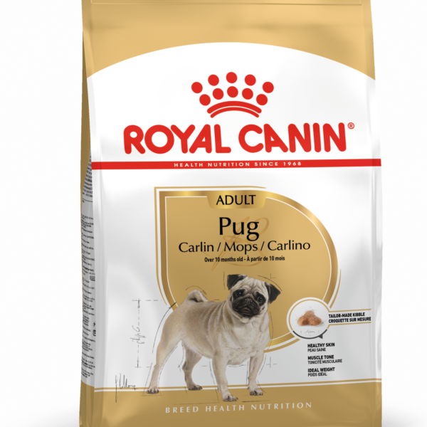BHN Dog Pug Adult 1,5 kg