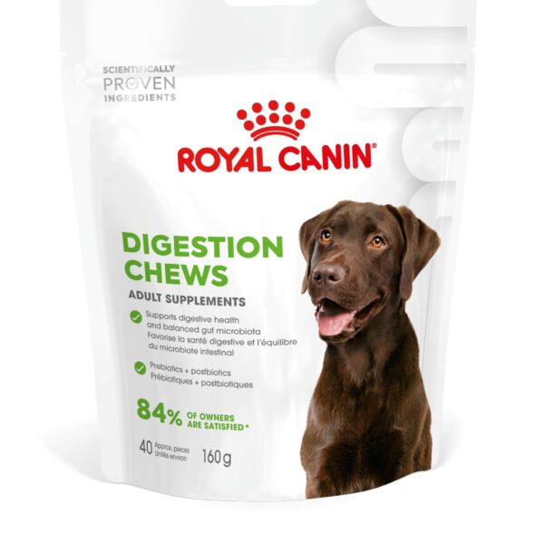 DIGESTION ADULT DOG SUPPLEMENTS  160G