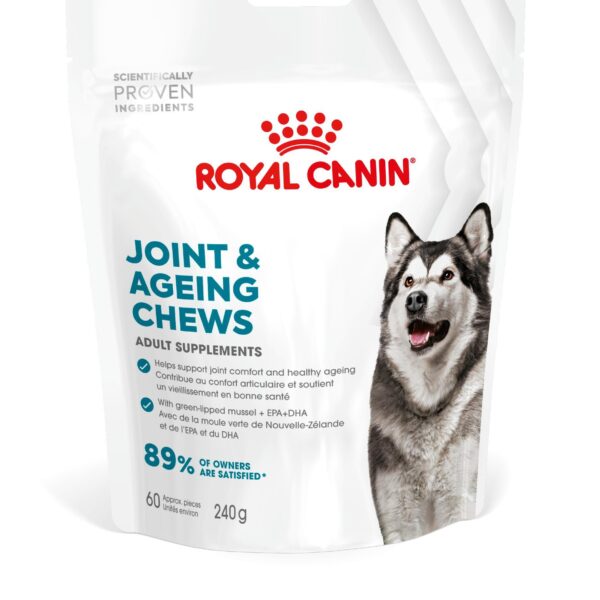 JOINT&AGEING ADULT DOG SUPPLEMENTS 240G