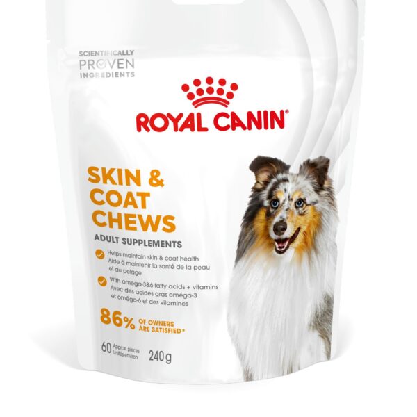 SKIN & COAT ADULT DOG SUPPLEMENTS 240G